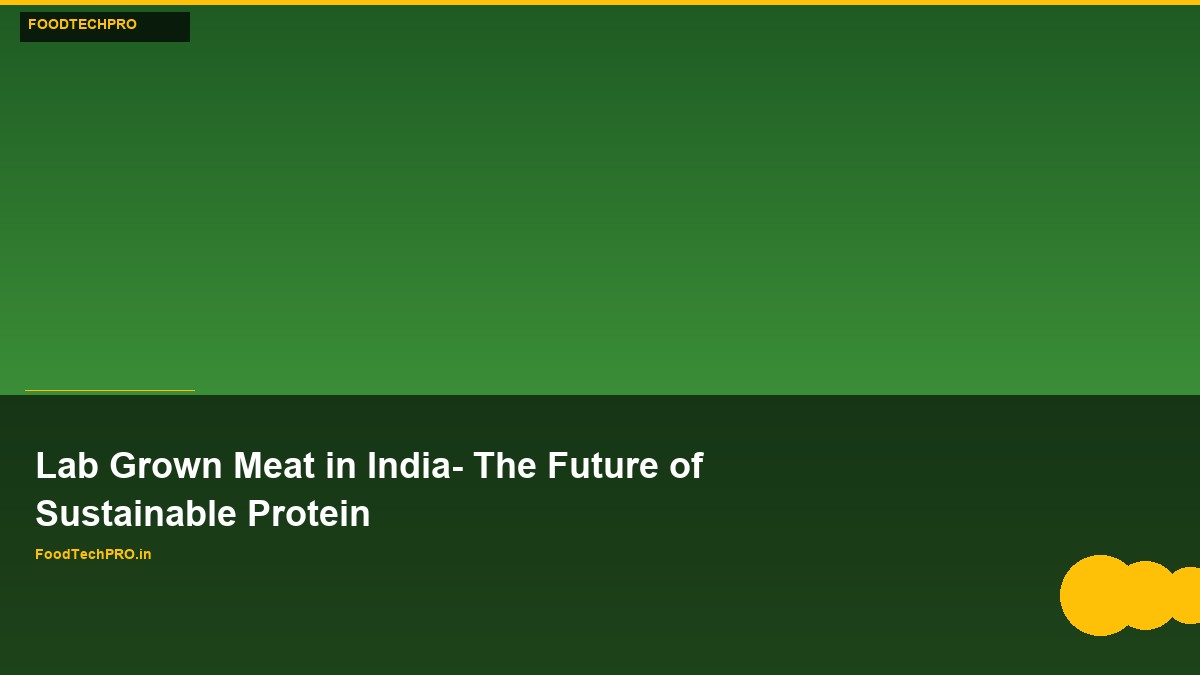 Lab Grown Meat in India: The Future of Sustainable Protein