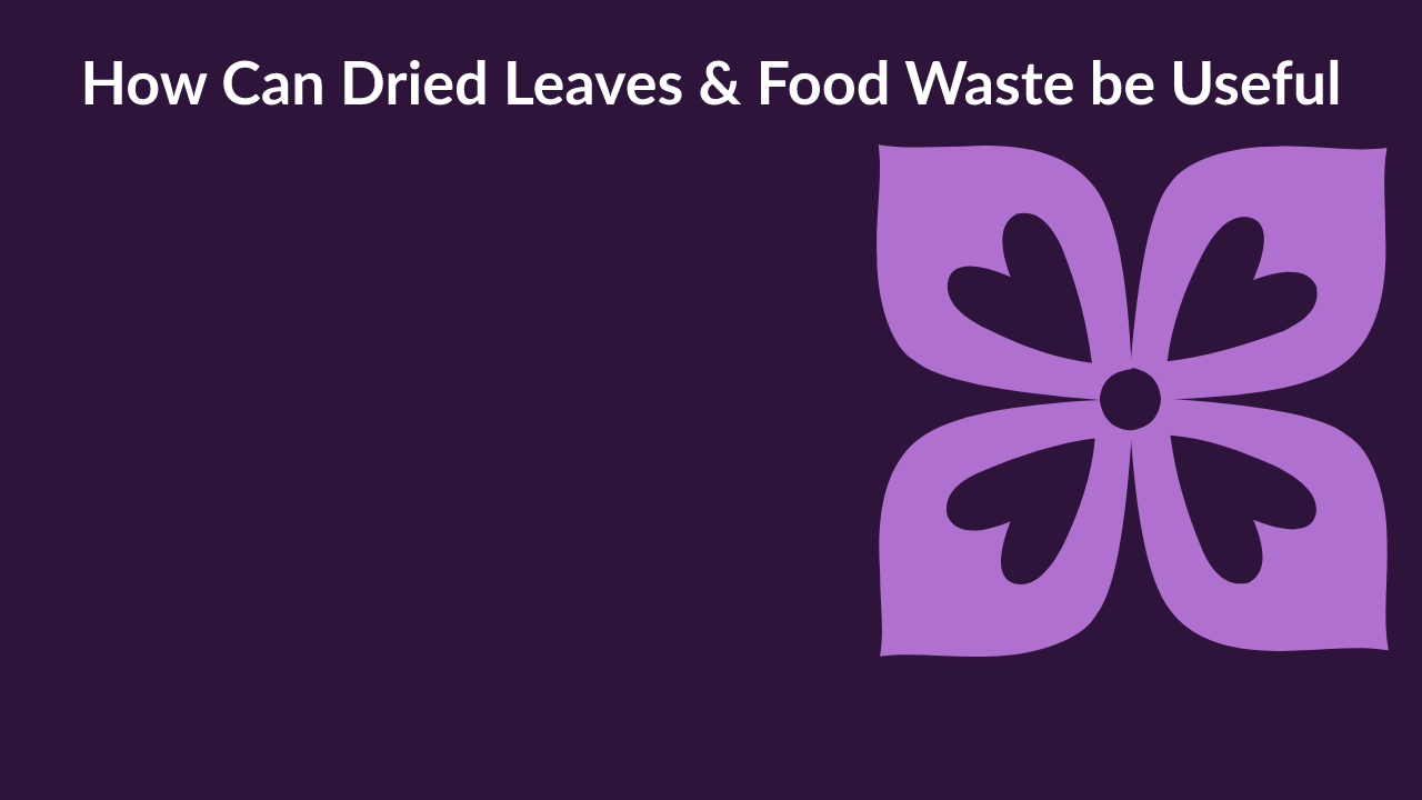 Don't Toss Those Leaves! 5 Genius Garden Hacks for Food Scra