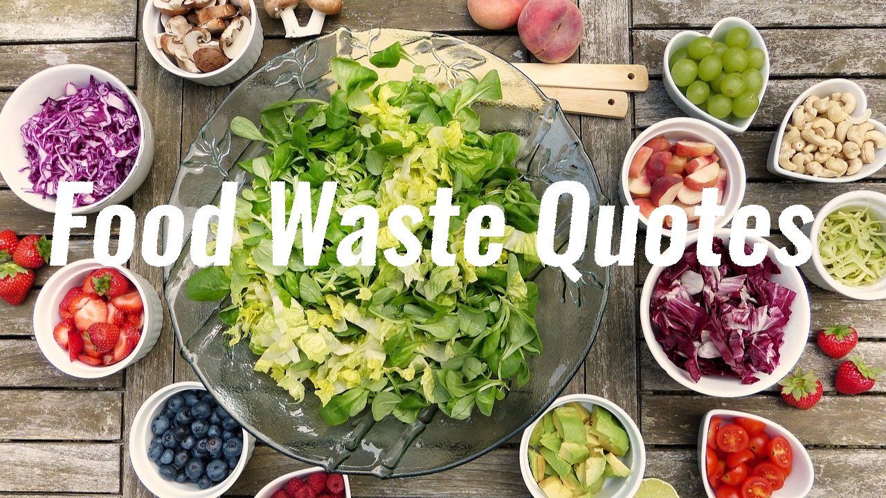 9 Food waste quotes (2024)