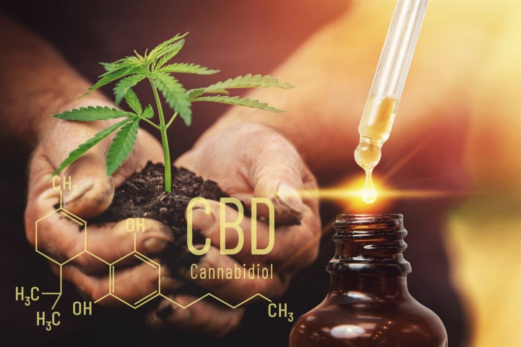 CBD Oil : Cancer Treatment, Its Medicinal Properties Can Ben